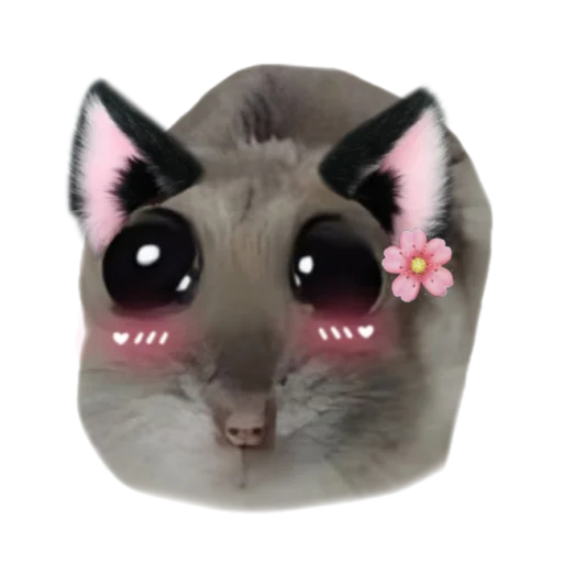 hamster hamster criminal hamster