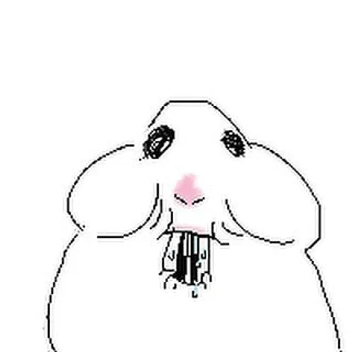 Hamster