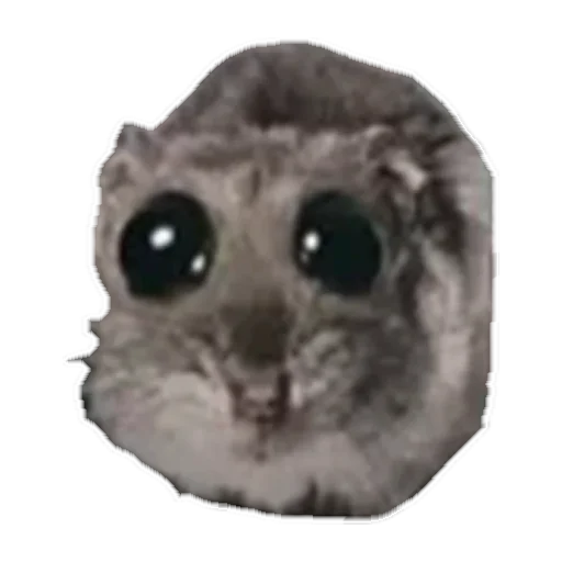 sad hamster by weekkoi