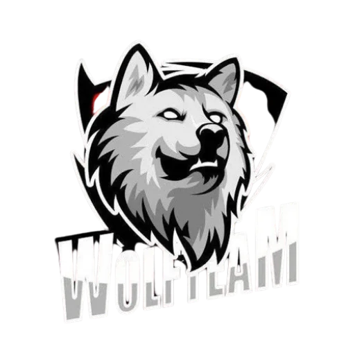 π±πΆπ°π΅ π―π¬πΉπ¬ π@WOLF_TEAMMM